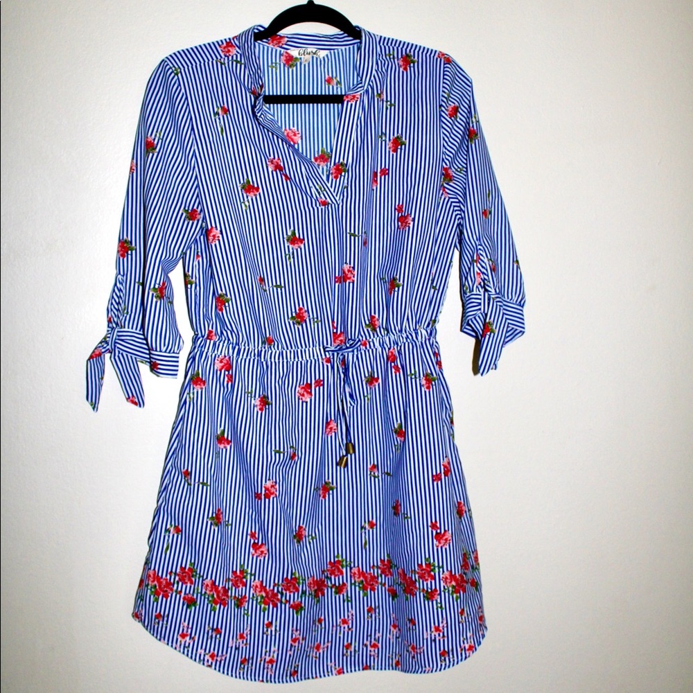 Hint of Blush Blue Striped Dress